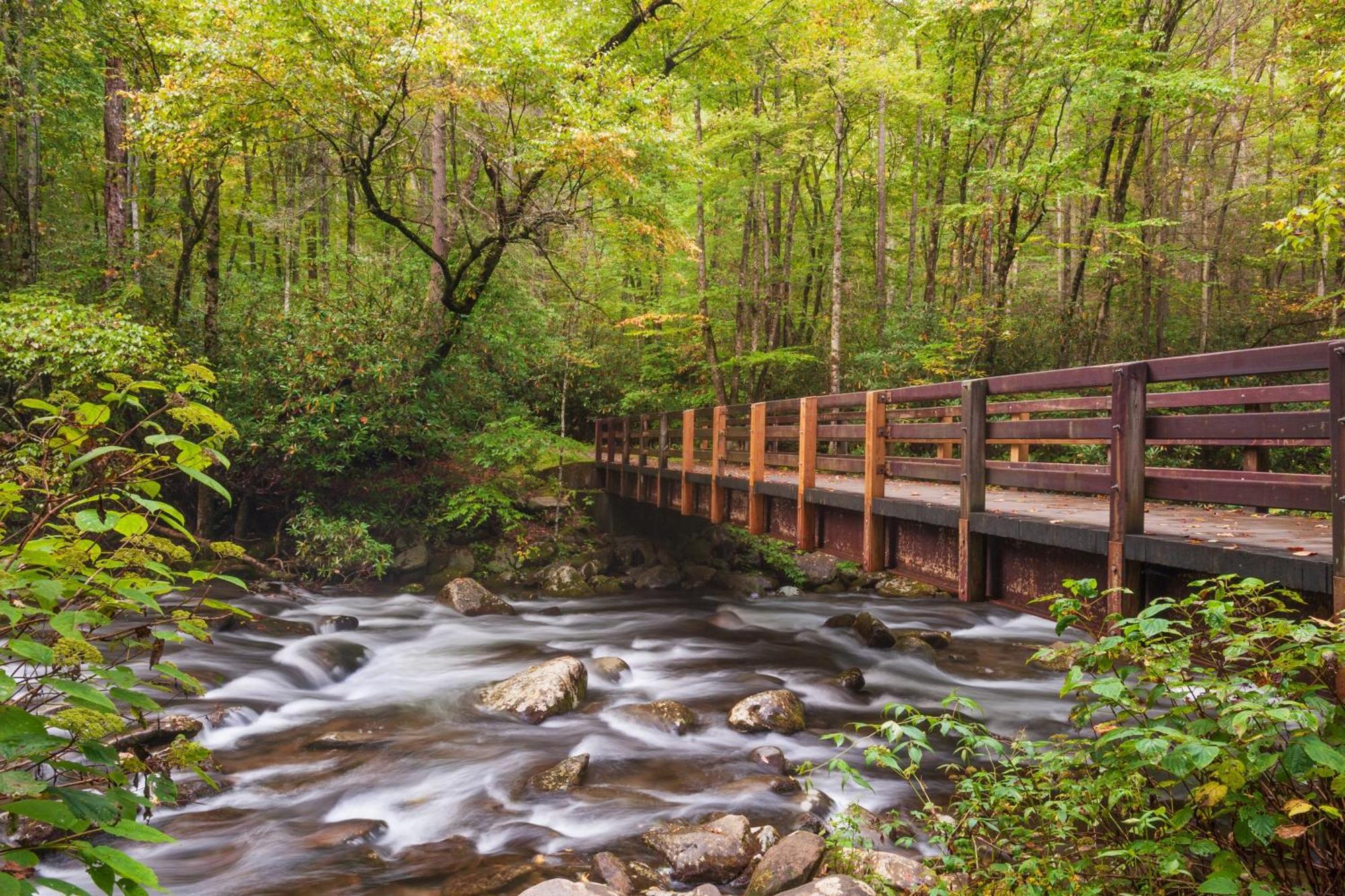 Bear End Villa Sevierville Bagian luar foto
